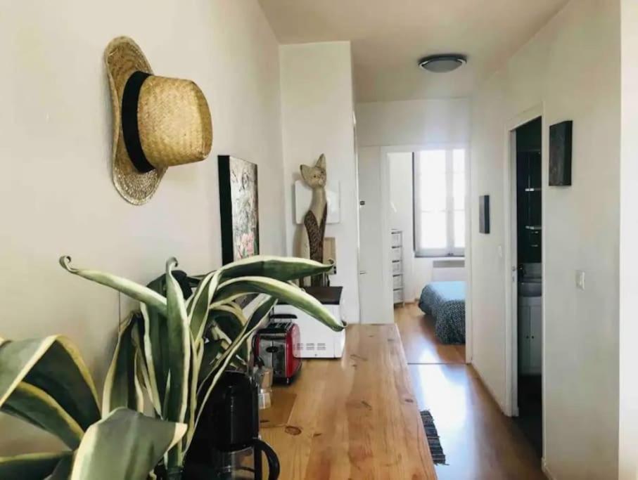 קרקסון Appartement T2 Avec Vue Chateau מראה חיצוני תמונה